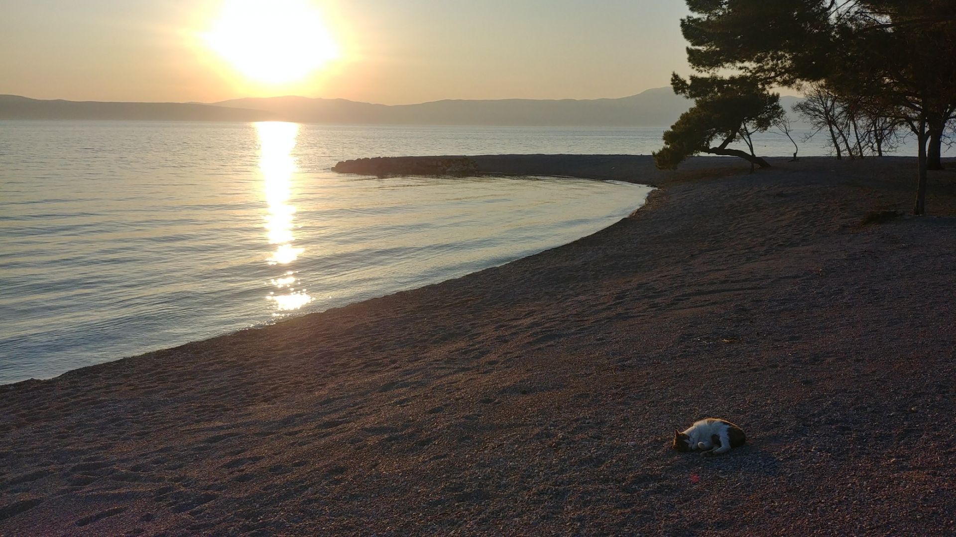 Adriatic II beach'in fotoğrafı - rahatlamayı sevenler arasında popüler bir yer