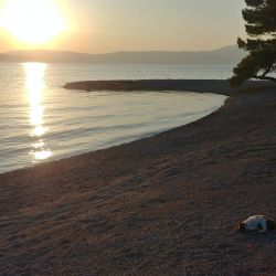 Adriatic II beach'in fotoğrafı imkanlar alanı