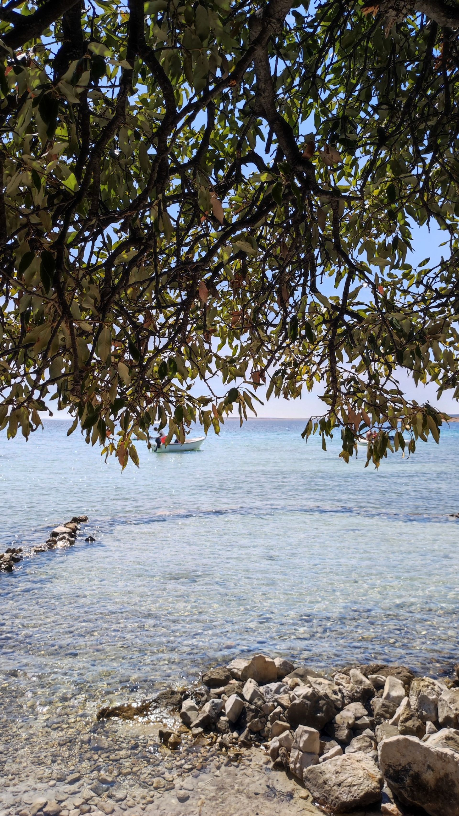 Dunboka Draga'in fotoğrafı vahşi alan