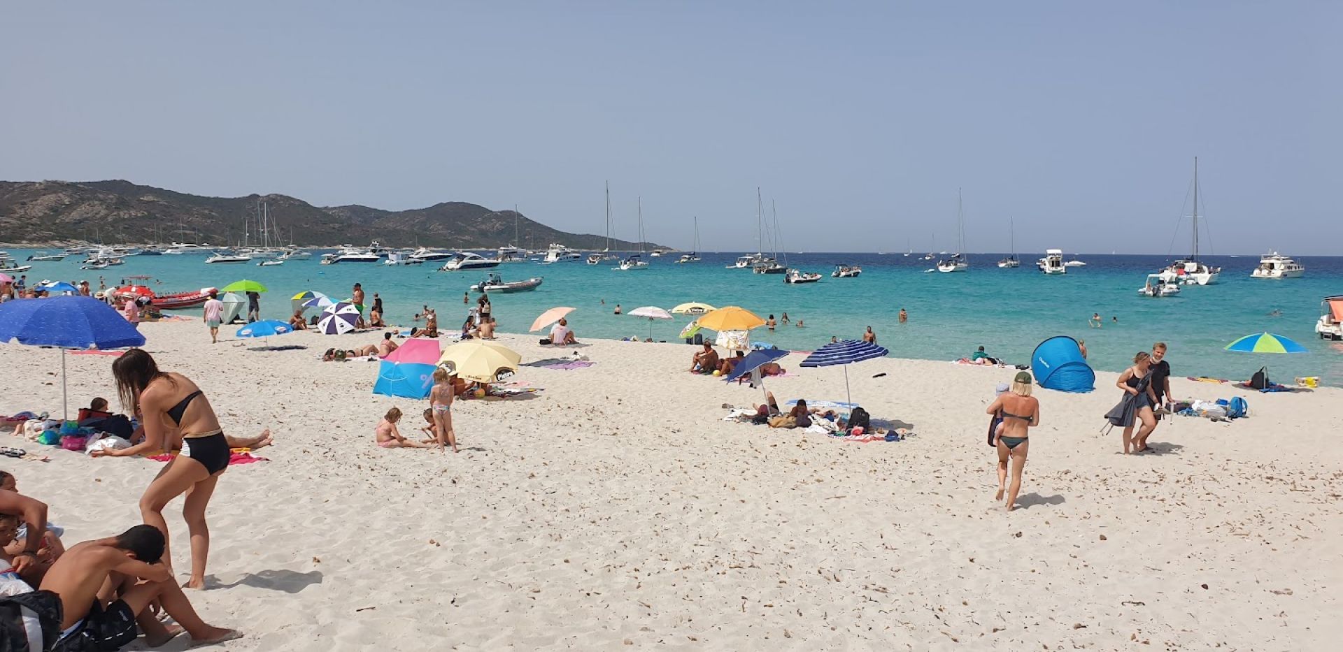 Photo of Saleccia beach