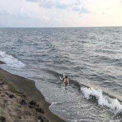 Shekvetili beach'in fotoğrafı düz ve uzun ile birlikte