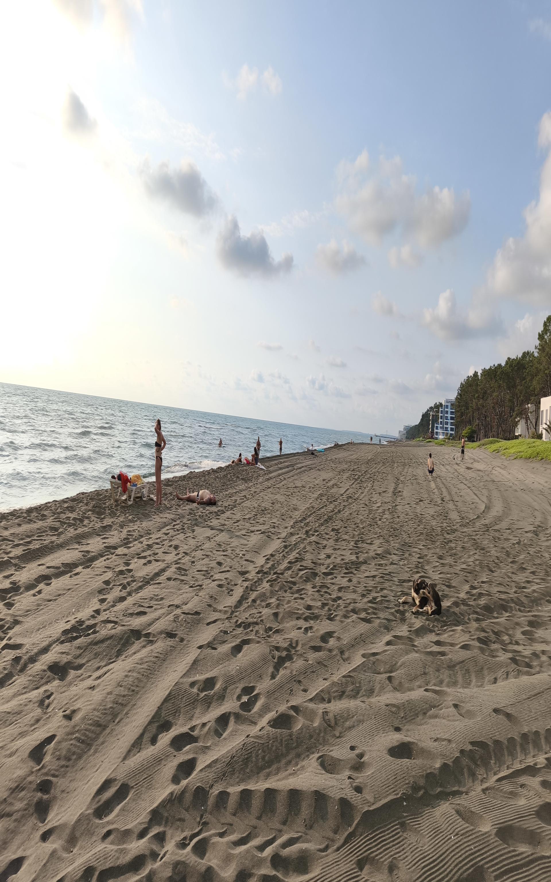 Shekvetili beach'in fotoğrafı imkanlar alanı