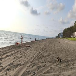 Shekvetili beach'in fotoğrafı imkanlar alanı