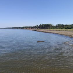 Ureki Nature beach'in fotoğrafı vahşi alan