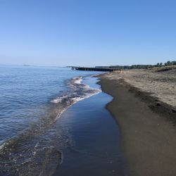 Ureki Nature beach'in fotoğrafı doğal alan içinde bulunmaktadır