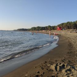 Ureki Nature beach'in fotoğrafı imkanlar alanı