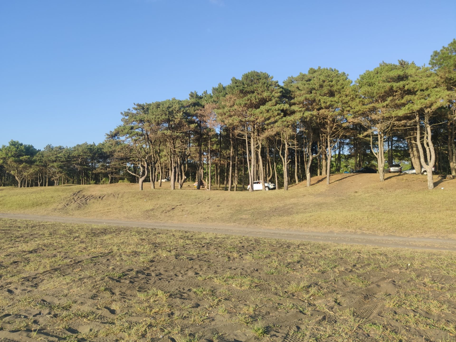 Photo of Ureki Nature beach