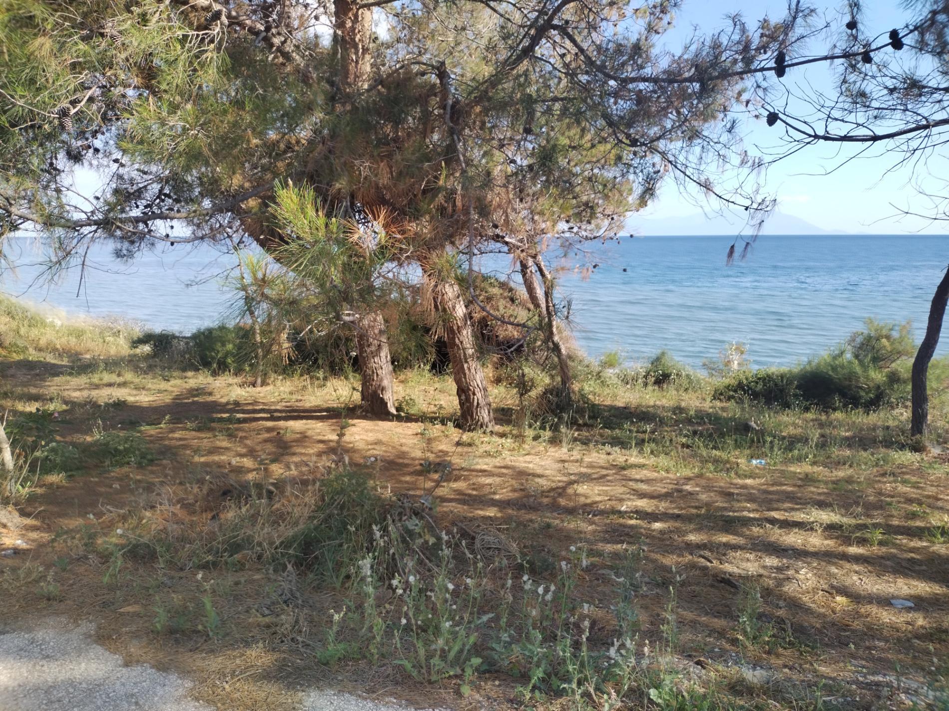 Mesimvria Zoni beach'in fotoğrafı doğal alan içinde bulunmaktadır