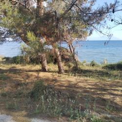 Mesimvria Zoni beach'in fotoğrafı doğal alan içinde bulunmaktadır