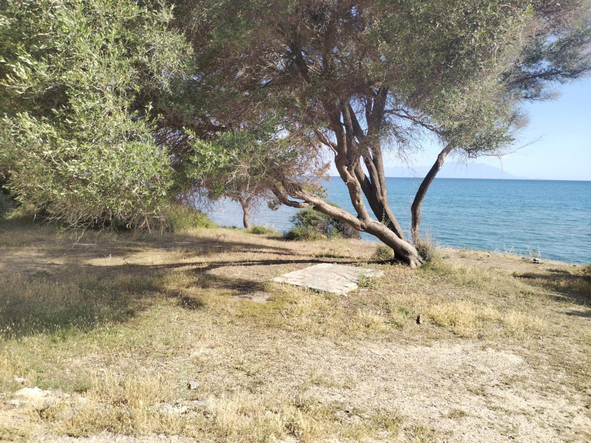 Mesimvria Zoni beach'in fotoğrafı dağlarla çevrili