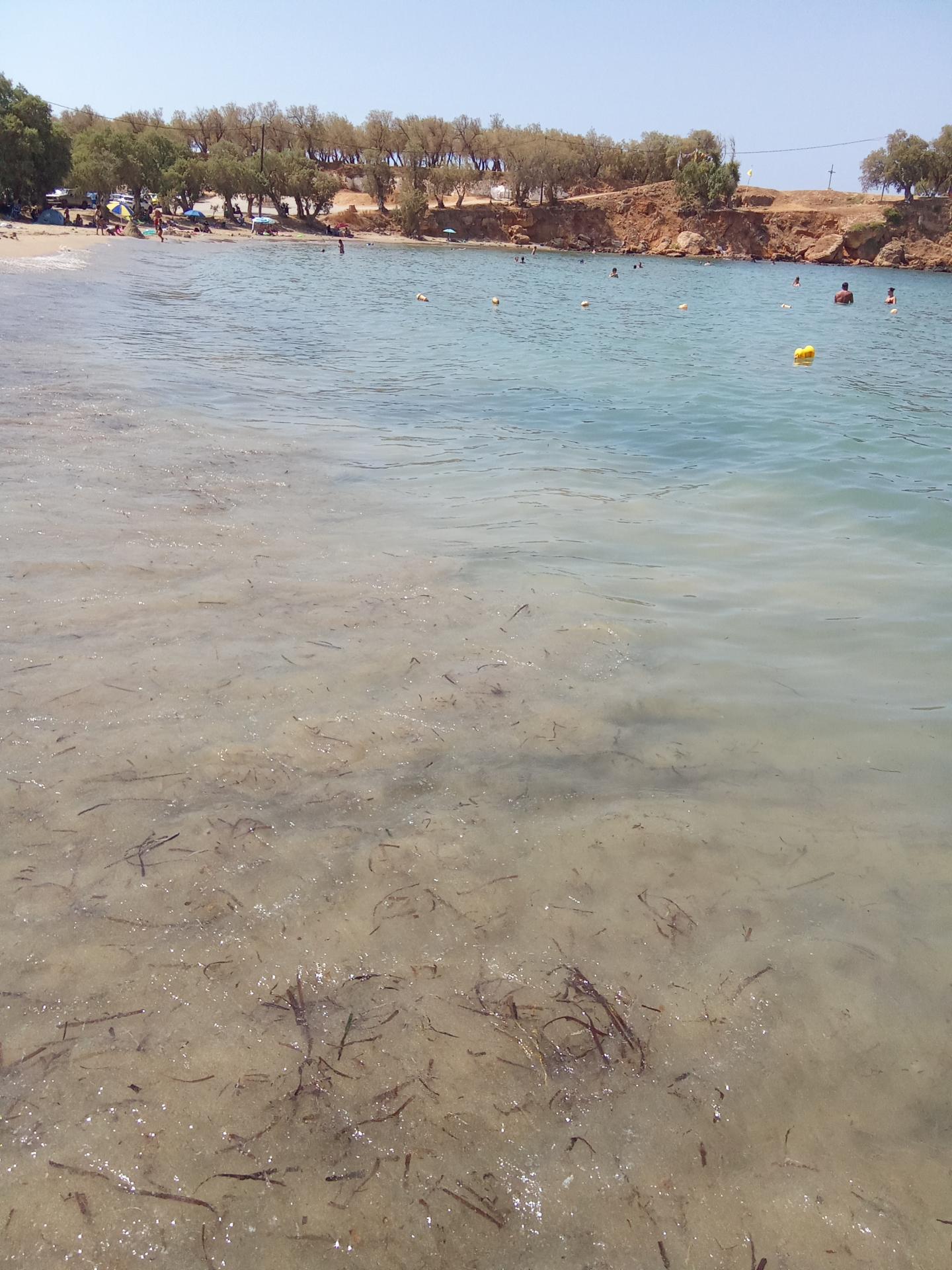 Photo of Iguana Beach