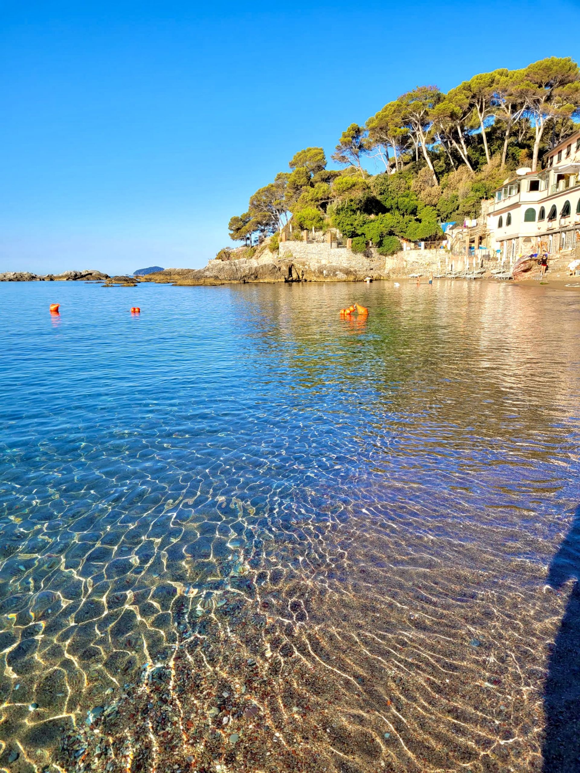 Spiaggia Fiascherino'in fotoğrafı uçurumlarla desteklenmiş