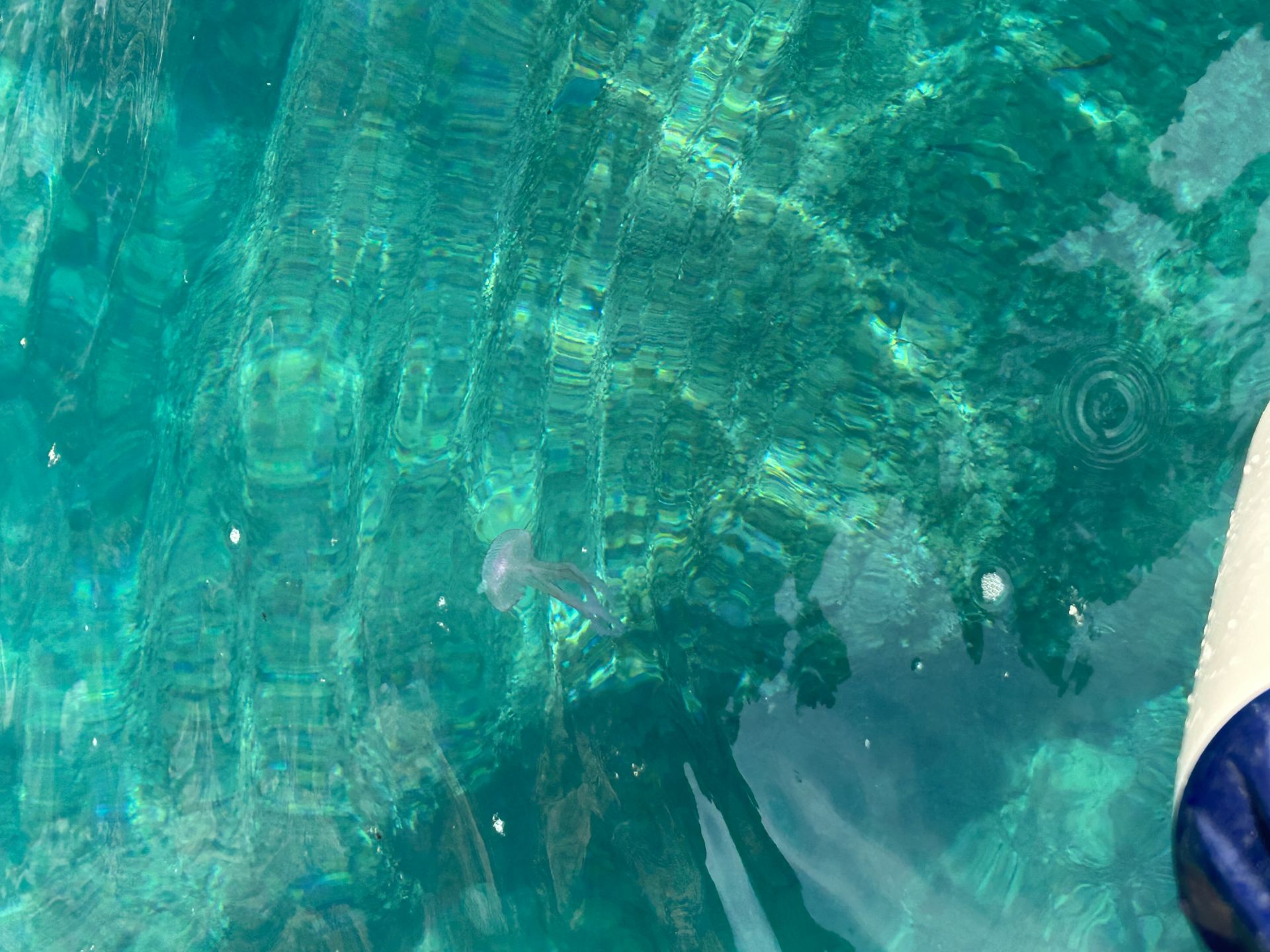 Spiaggia Cavallo Morto'in fotoğrafı ve güzel manzarası