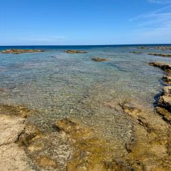 Cala Toni'in fotoğrafı geniş ile birlikte