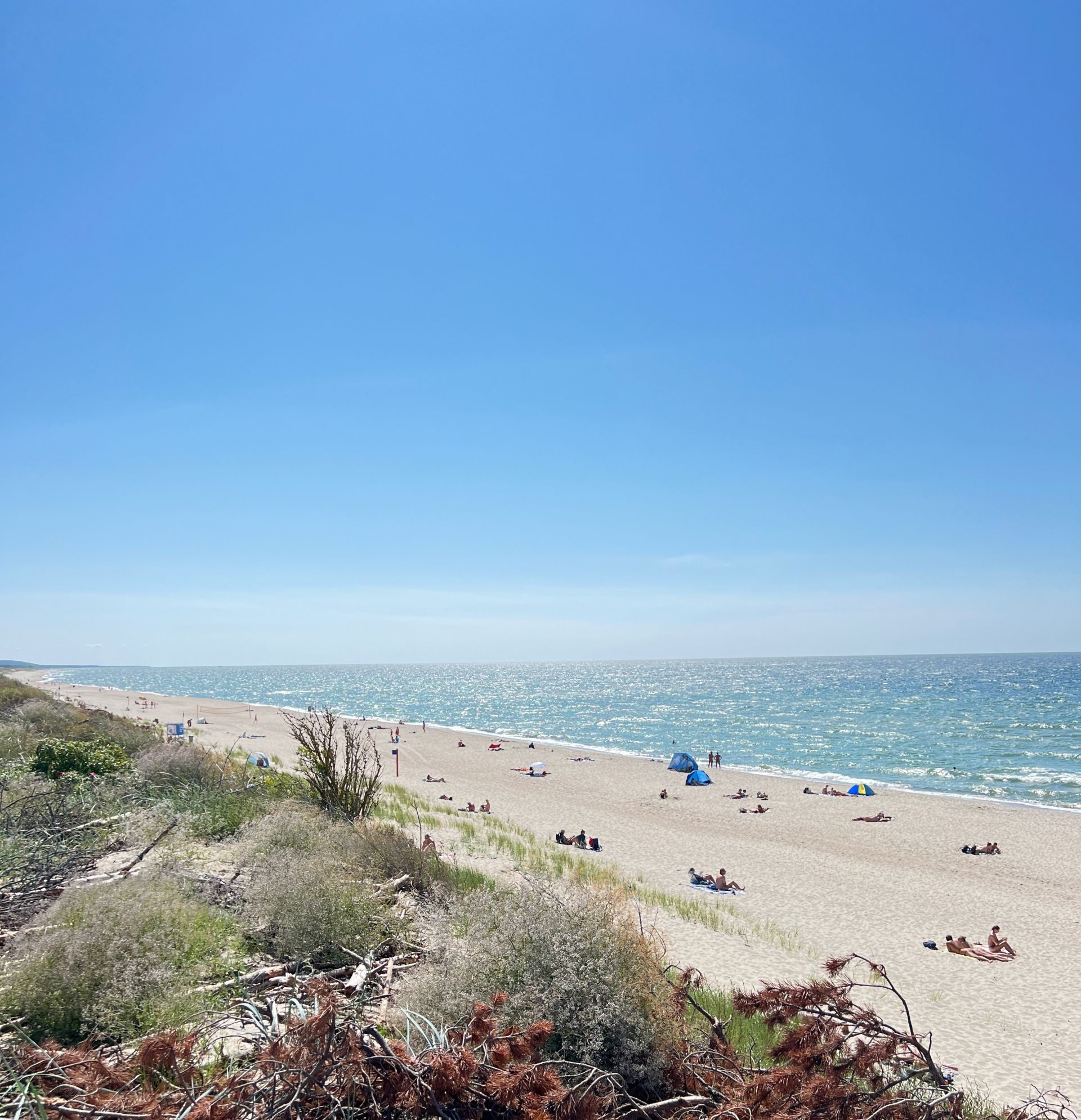 Photo of Nida nudist beach