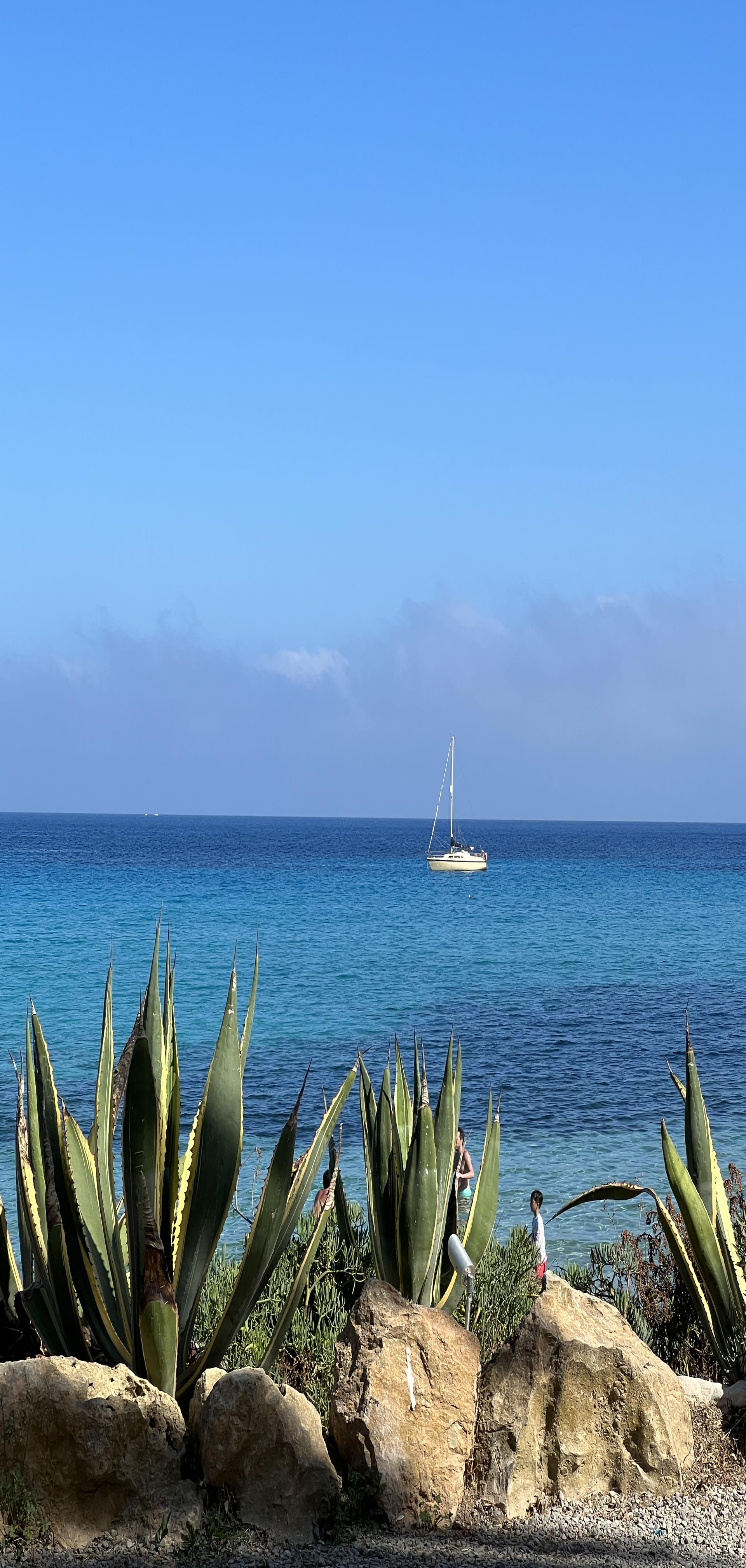 Photo of Cala Nova Beach