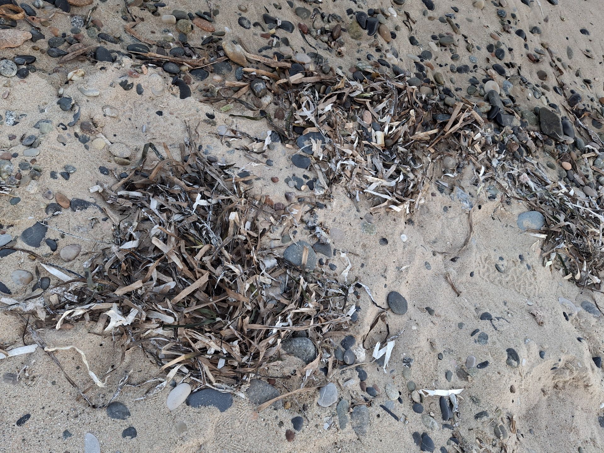Platja de la Porquerola'in fotoğrafı - rahatlamayı sevenler arasında popüler bir yer