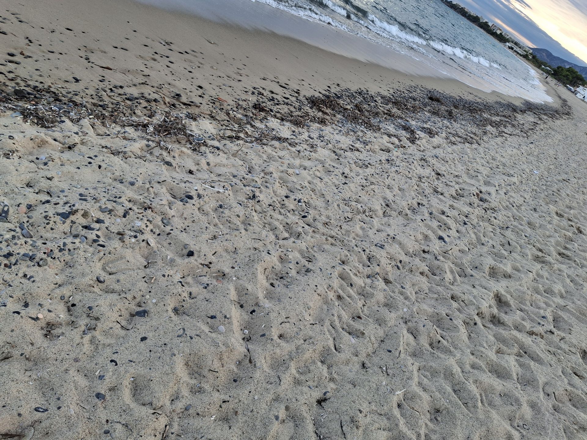 Photo of Platja de la Porquerola
