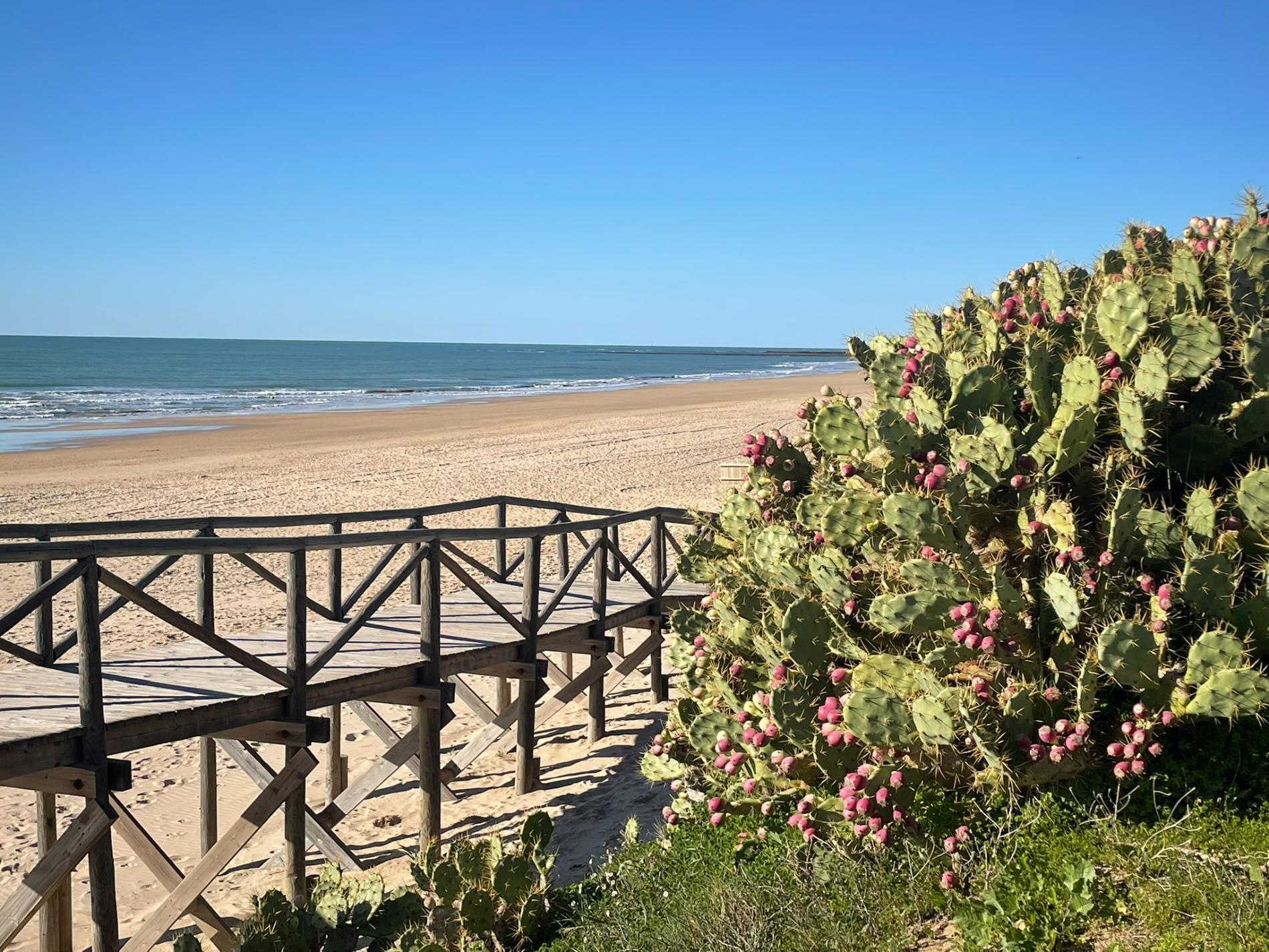Playa de las Tres Piedras'in fotoğrafı ve yerleşim