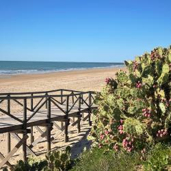 Playa de las Tres Piedras'in fotoğrafı ve yerleşim