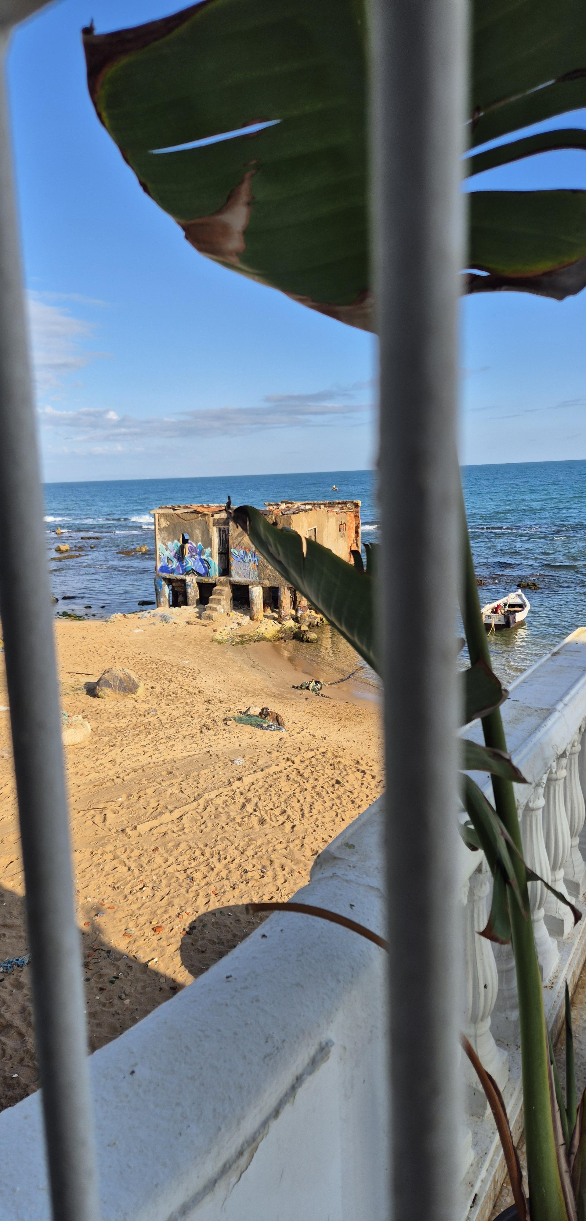 Plage de La Marsa'in fotoğrafı - Çocuklu aile gezginleri için önerilir