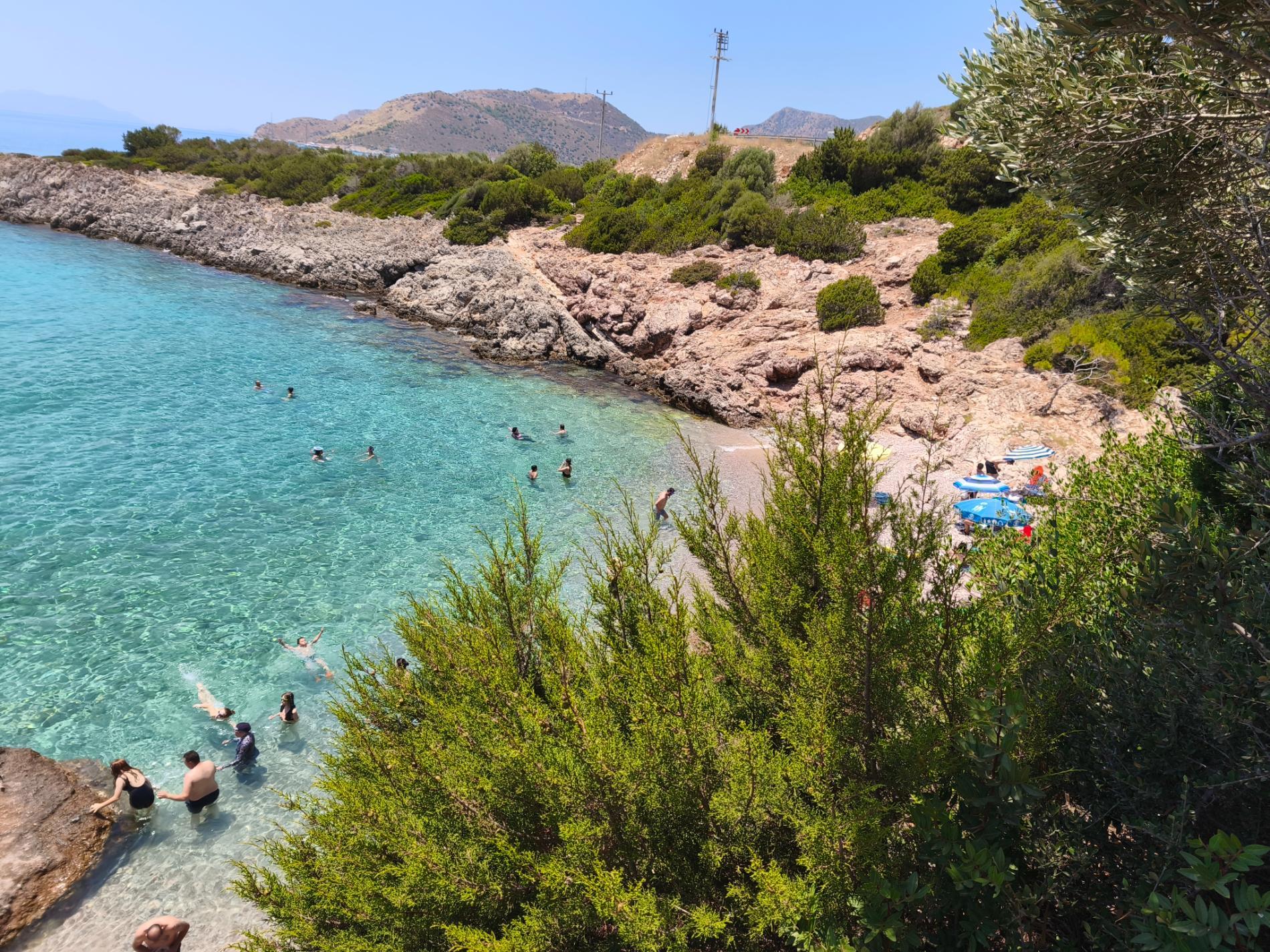 Photo of Aquarium beach