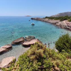 Aquarium beach'in fotoğrafı doğal alan içinde bulunmaktadır