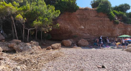 Aquarium beach