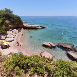 Aquarium beach'in fotoğrafı ve güzel manzarası