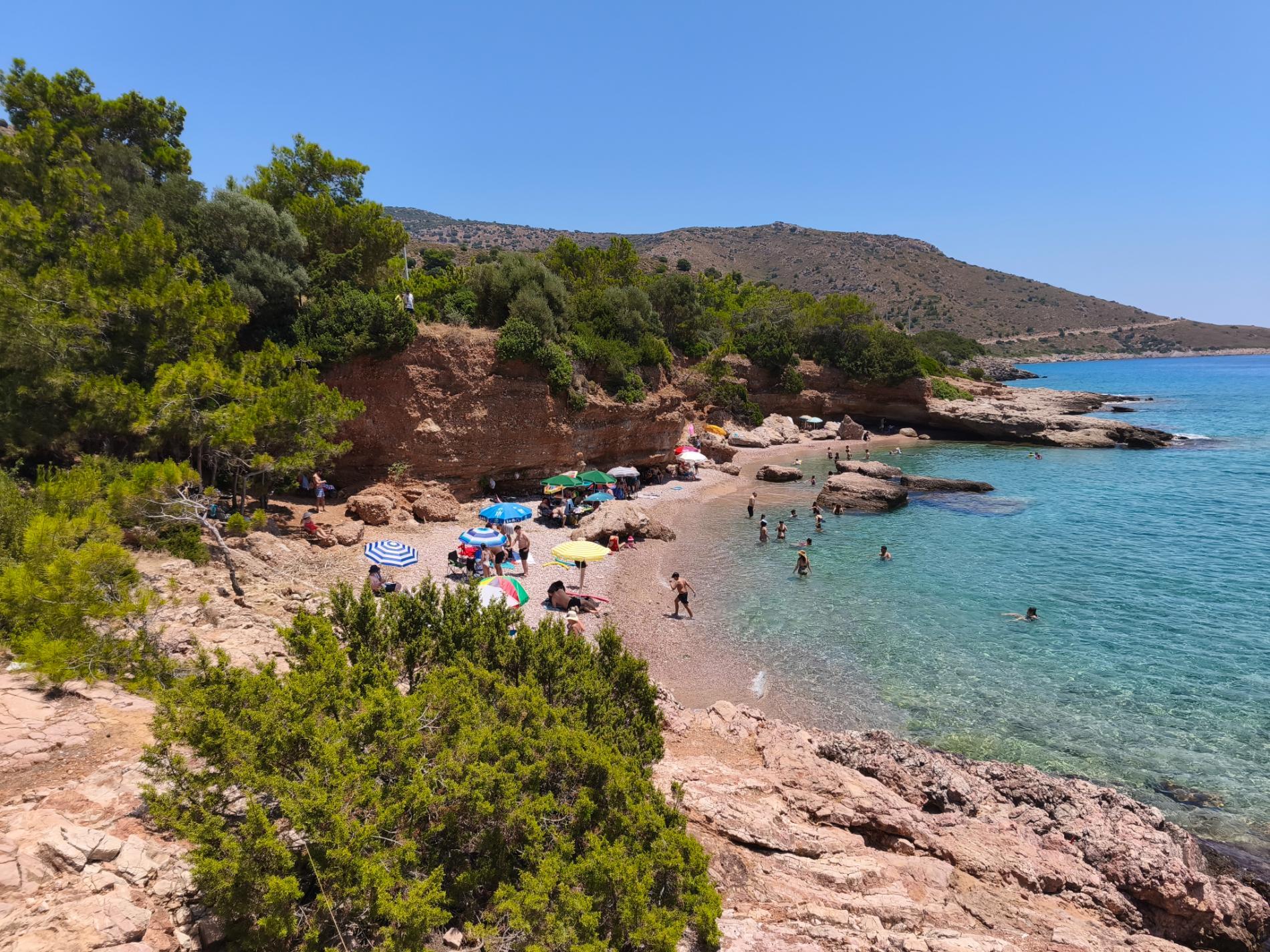 Aquarium beach'in fotoğrafı vahşi alan