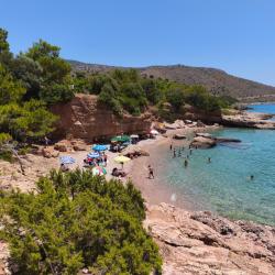 Aquarium beach'in fotoğrafı vahşi alan