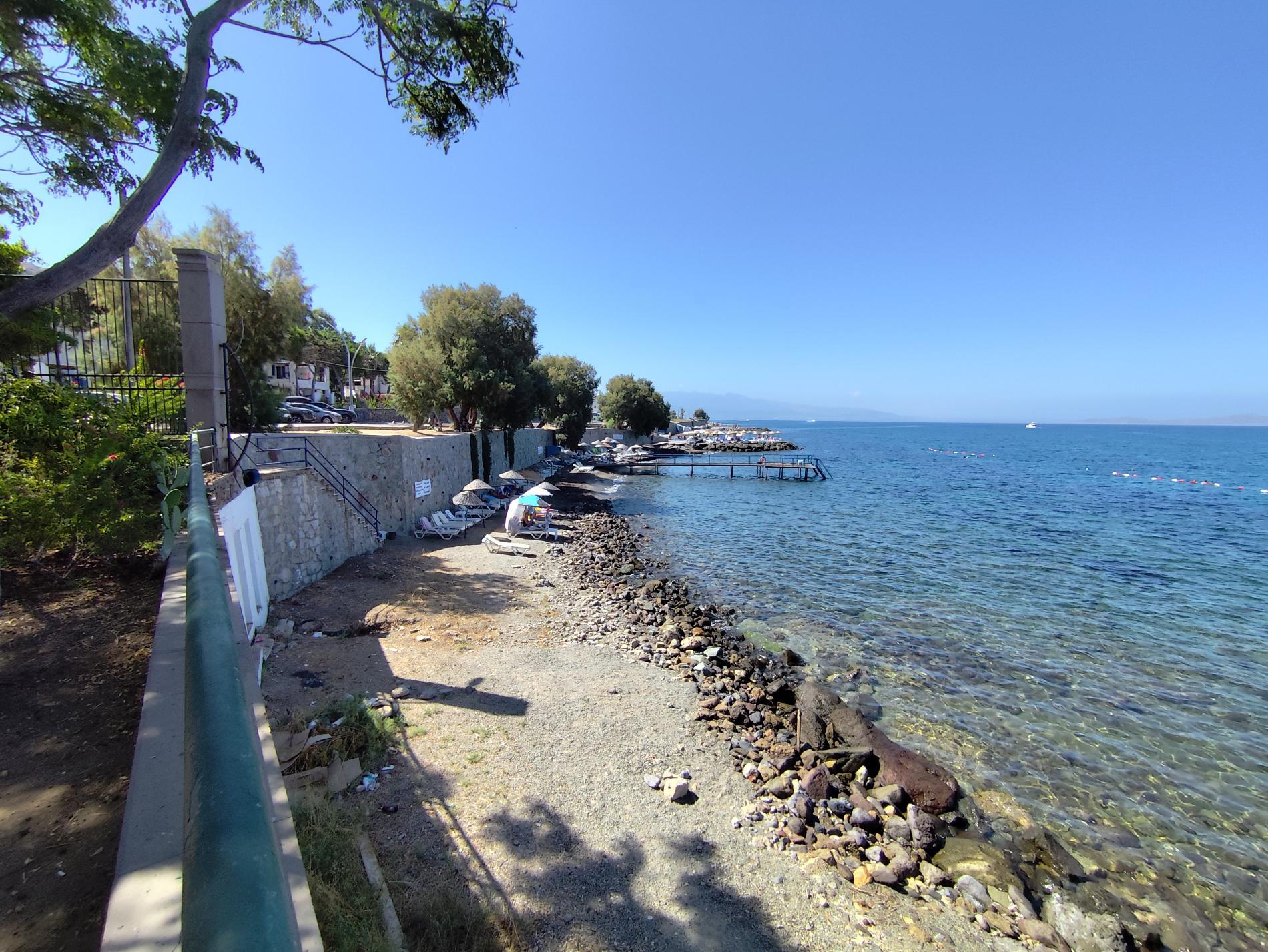 Turgutreis beach II'in fotoğrafı vahşi alan