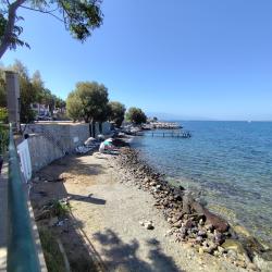Turgutreis beach II'in fotoğrafı vahşi alan