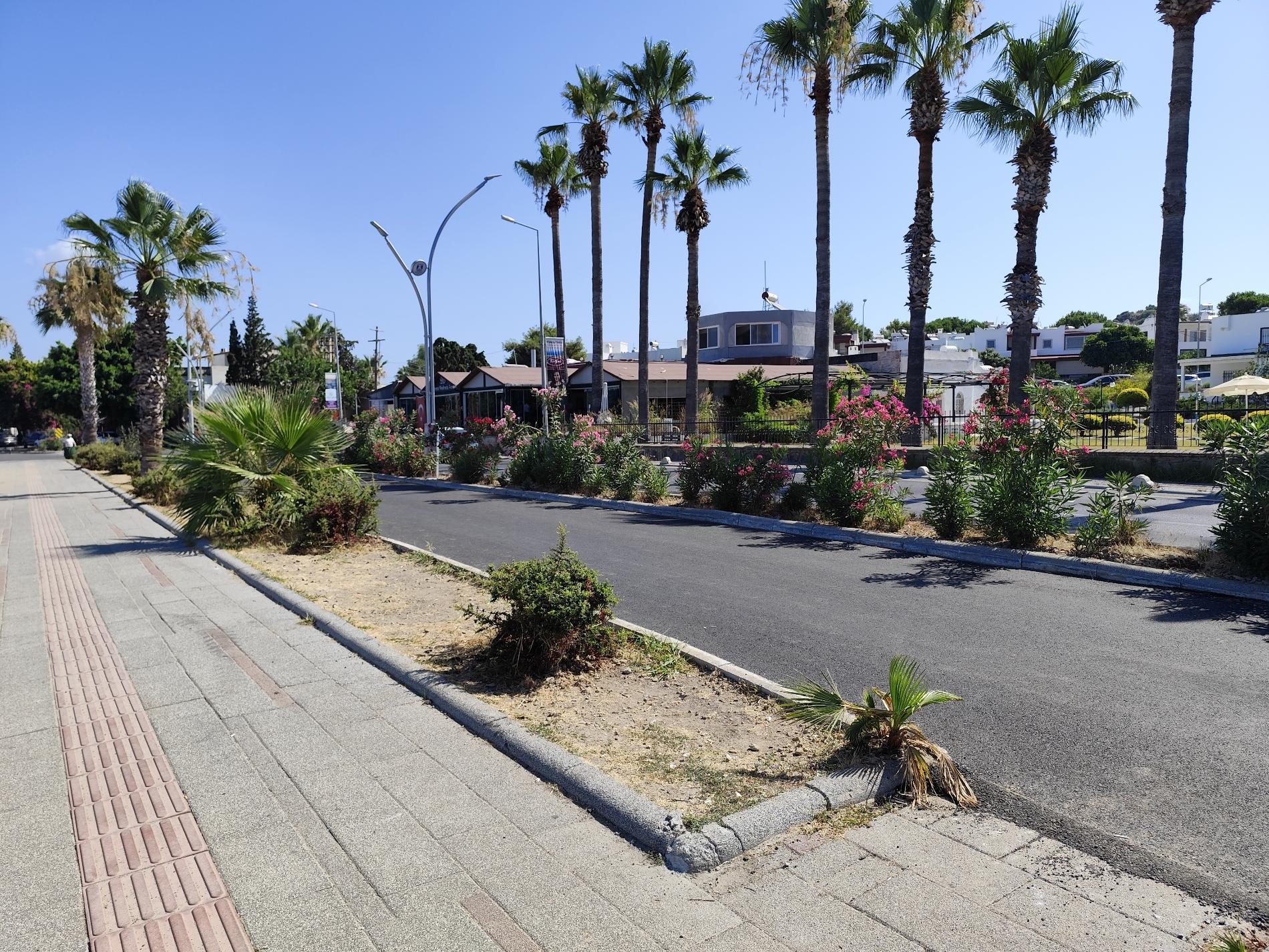 Turgutreis beach'in fotoğrafı - rahatlamayı sevenler arasında popüler bir yer