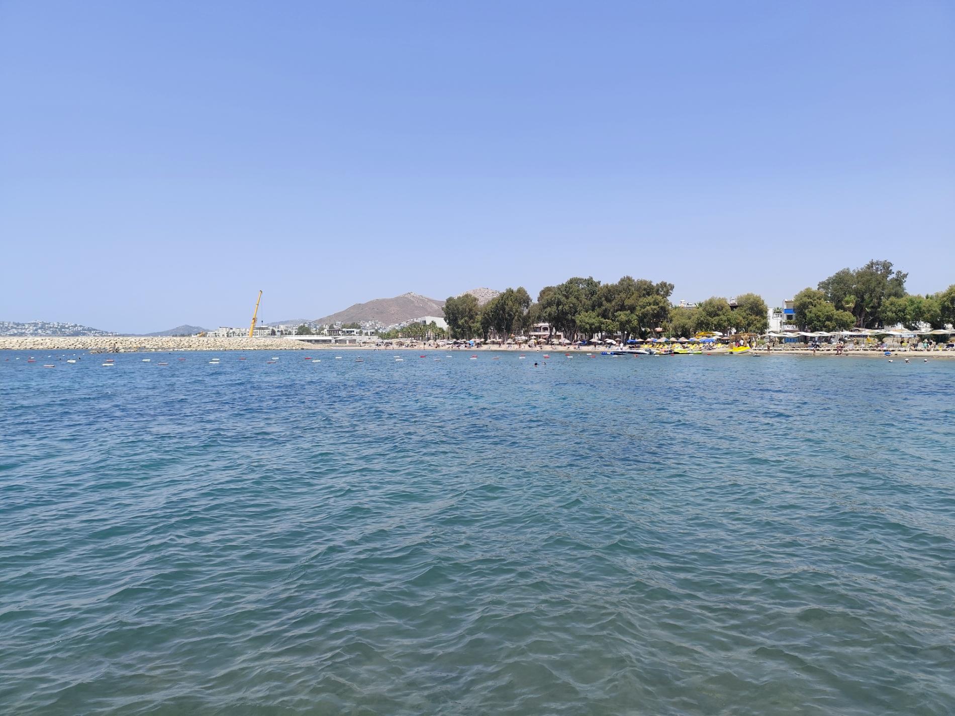 Ayvan beach'in fotoğrafı #43 ile birlikte