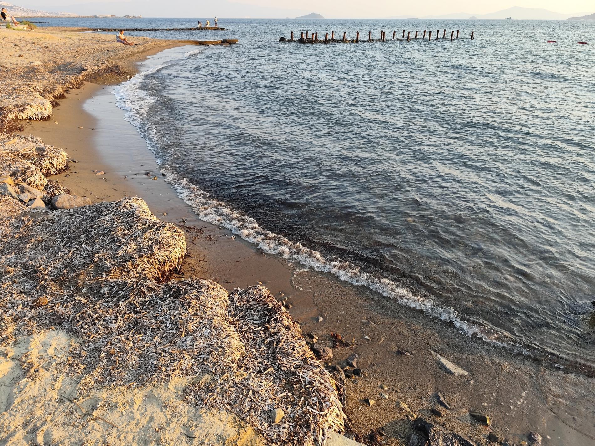 Photo of Ayvan beach III
