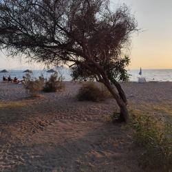 Ayvan beach III'in fotoğrafı birden fazla geniş koy ile birlikte