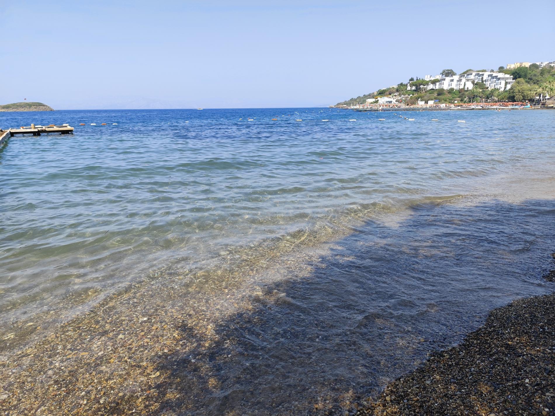 Kadıkalesi Plajı'in fotoğrafı çok temiz temizlik seviyesi ile
