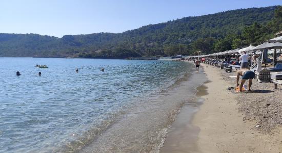 Ay ışığı Plajı