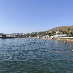 AVTA Tatil Köyü Iskelesi Plaji'in fotoğrafı geniş ile birlikte