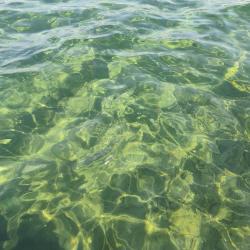 AVTA Tatil Köyü Iskelesi Plaji'in fotoğrafı - rahatlamayı sevenler arasında popüler bir yer