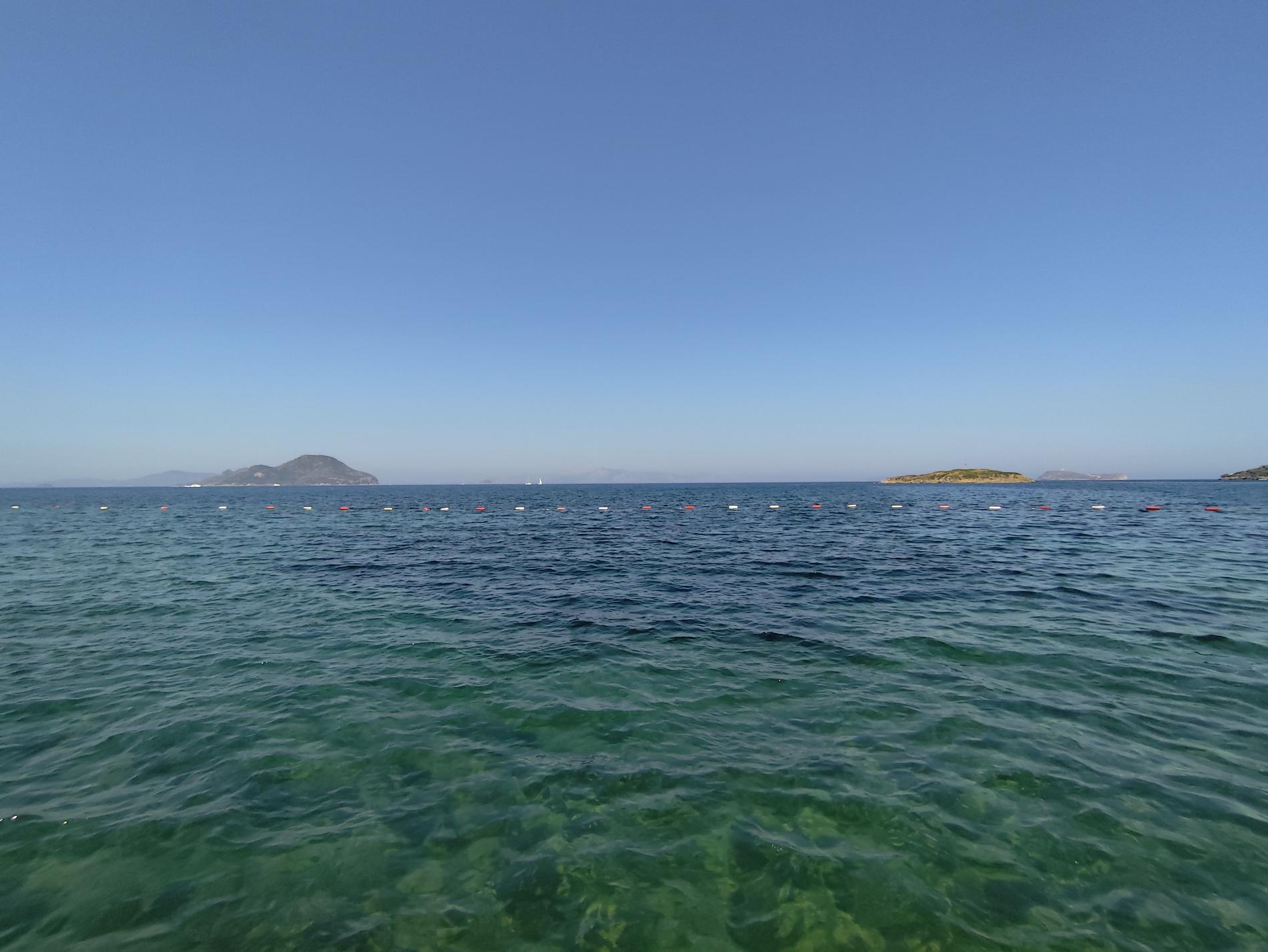 AVTA Tatil Köyü Iskelesi Plaji'in fotoğrafı - Çocuklu aile gezginleri için önerilir