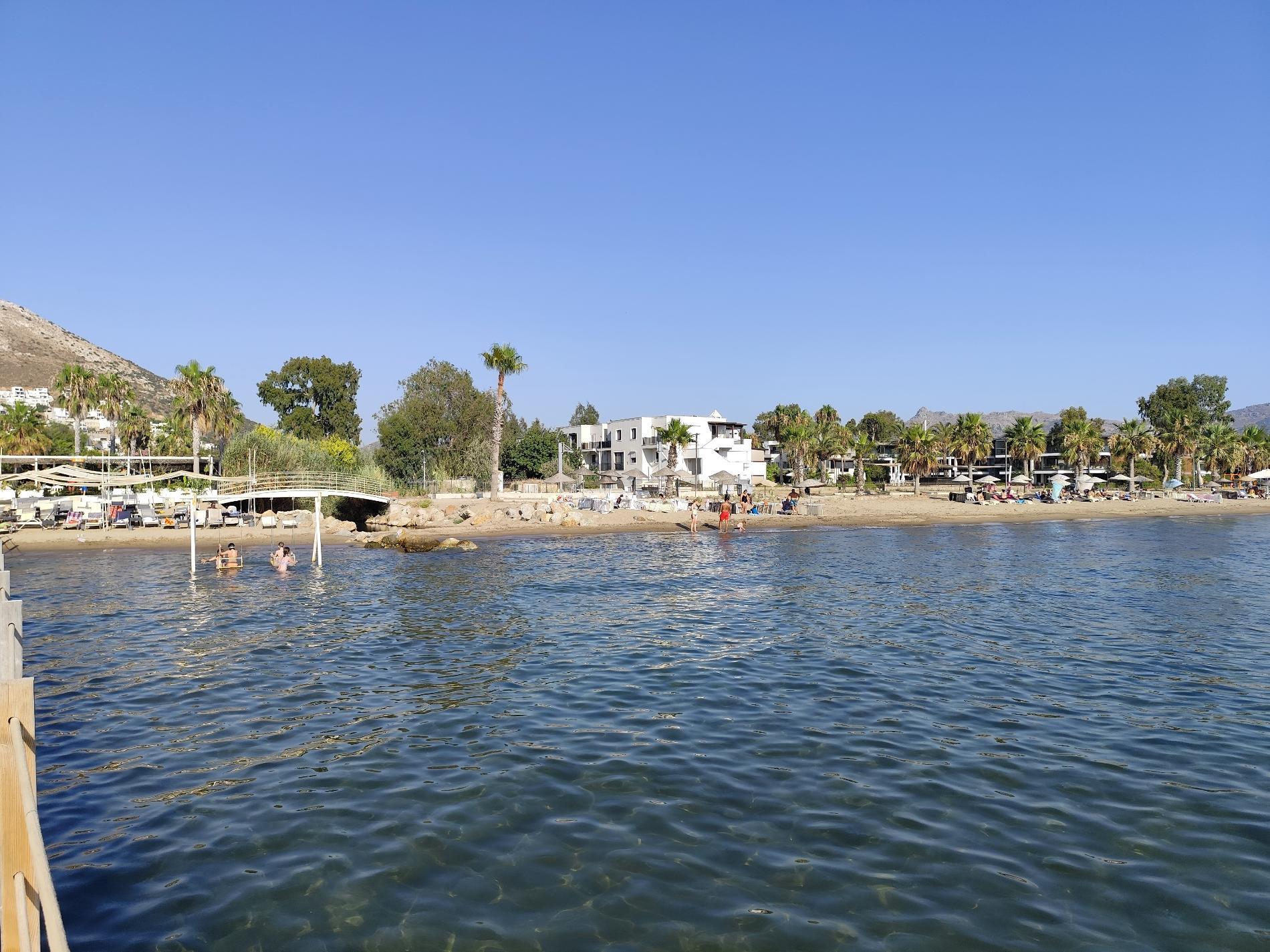 AVTA Tatil Köyü Iskelesi Plaji'in fotoğrafı kısmen otel alanı