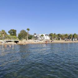 AVTA Tatil Köyü Iskelesi Plaji'in fotoğrafı kısmen otel alanı