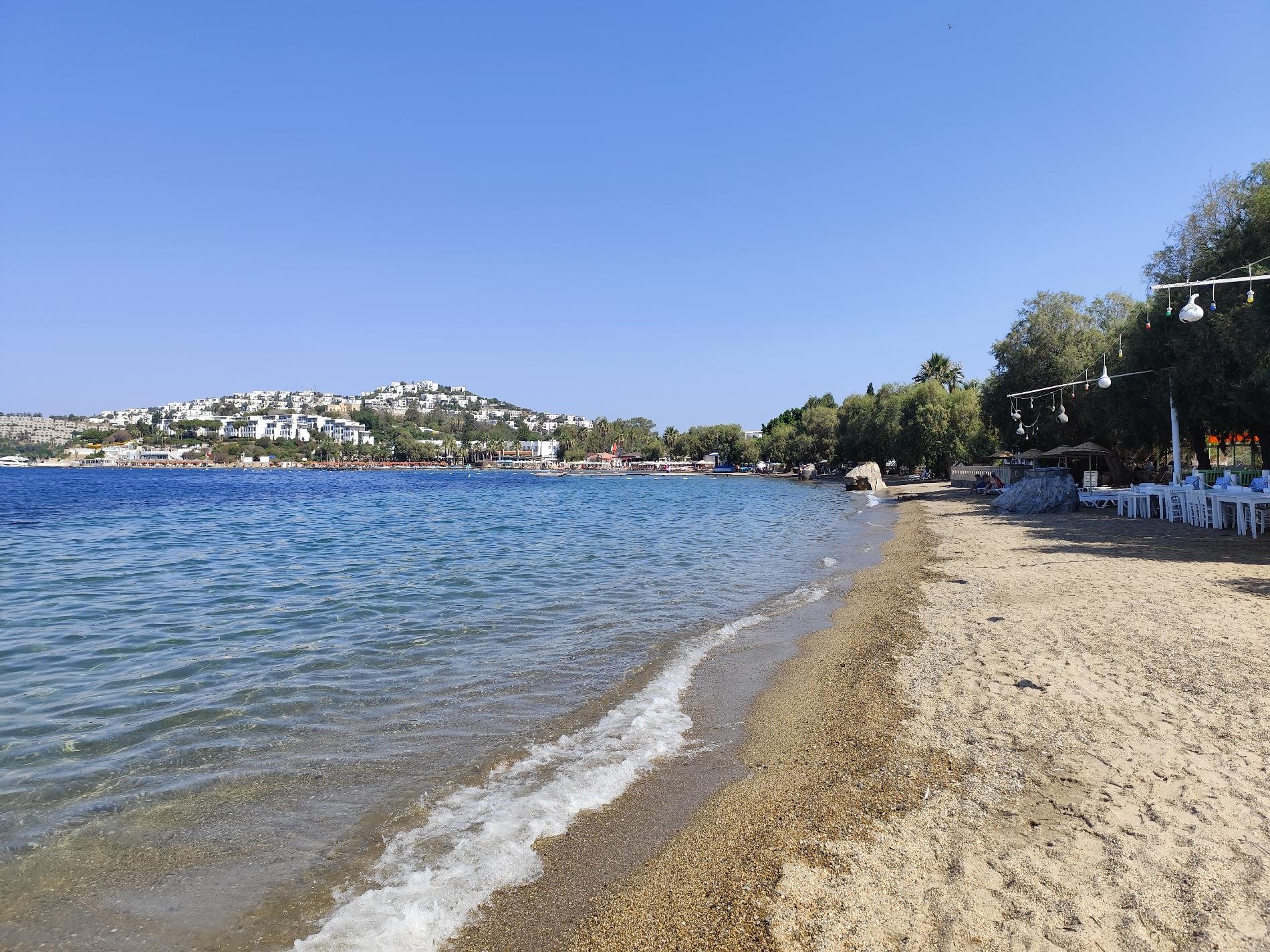 Photo of AVTA Tatil Koyu Iskelesi Plaji