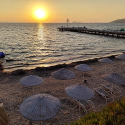 Arin Plaji'in fotoğrafı otel alanı