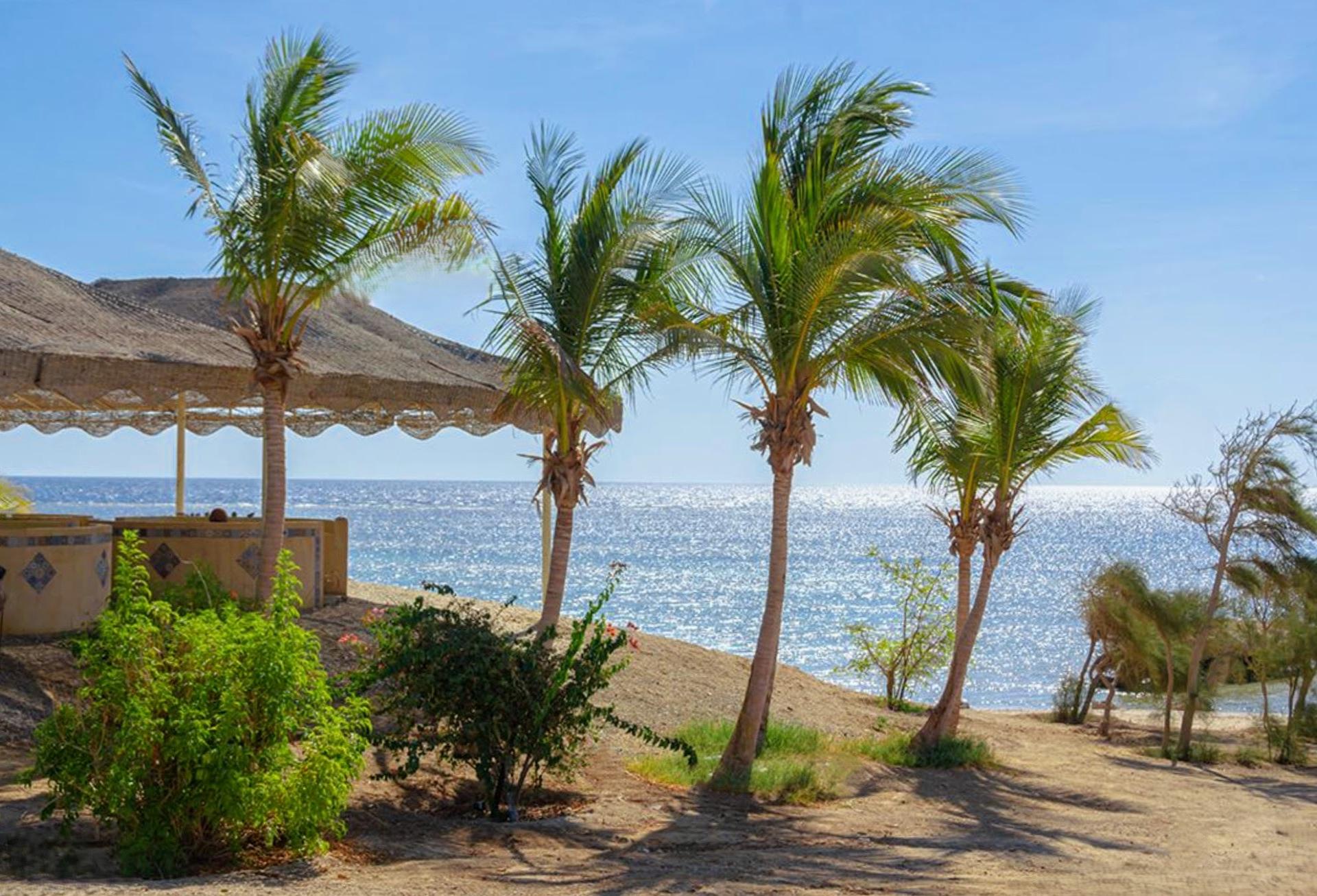 Photo of Mangrove Bay Resort