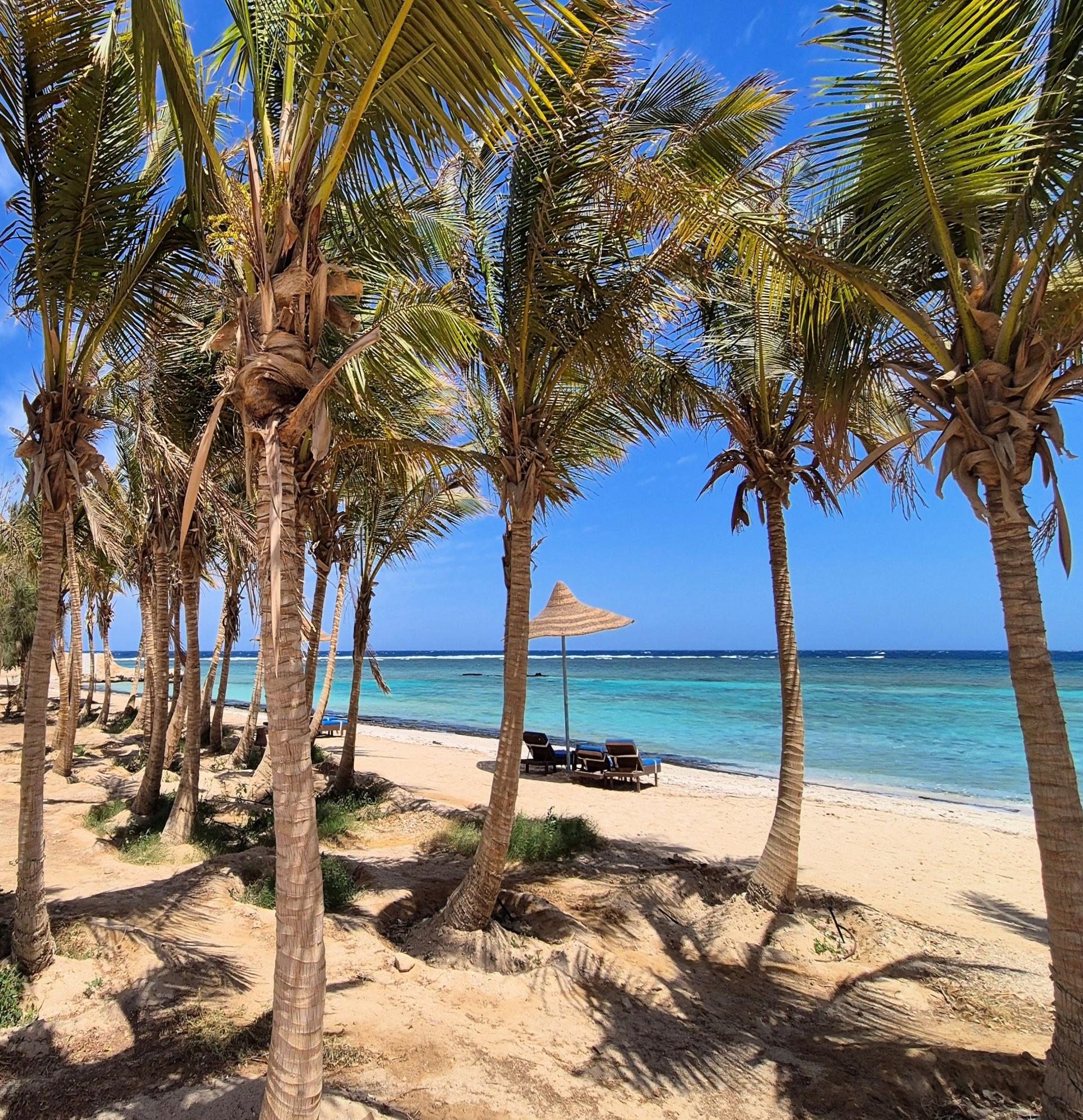 Photo of Mangrove Bay Resort