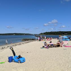Megansett Beach'in fotoğrafı biraz temiz temizlik seviyesi ile
