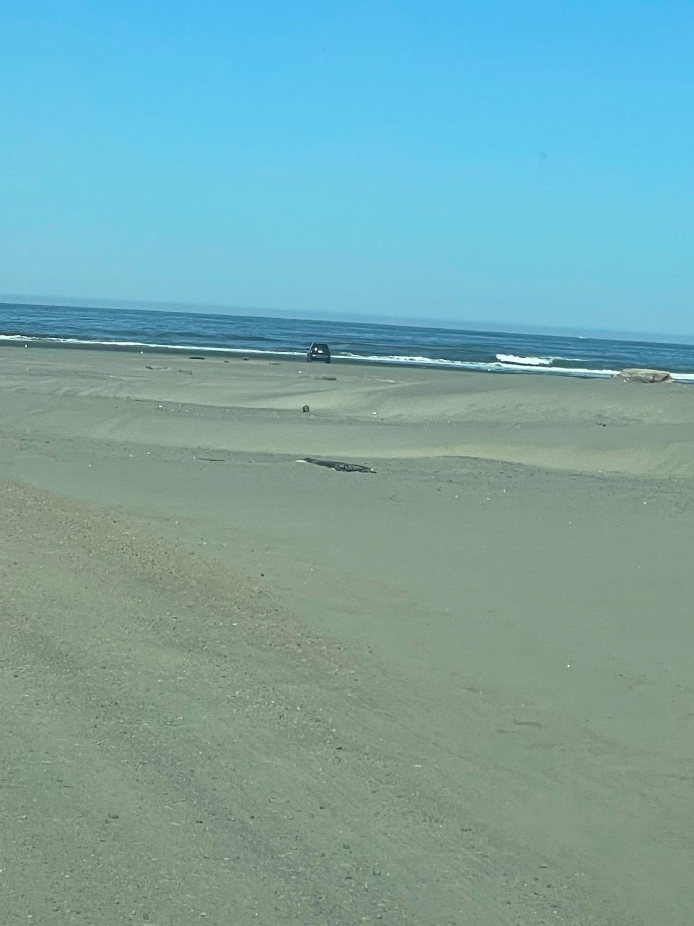 Ocean Shores Beach'in fotoğrafı - rahatlamayı sevenler arasında popüler bir yer